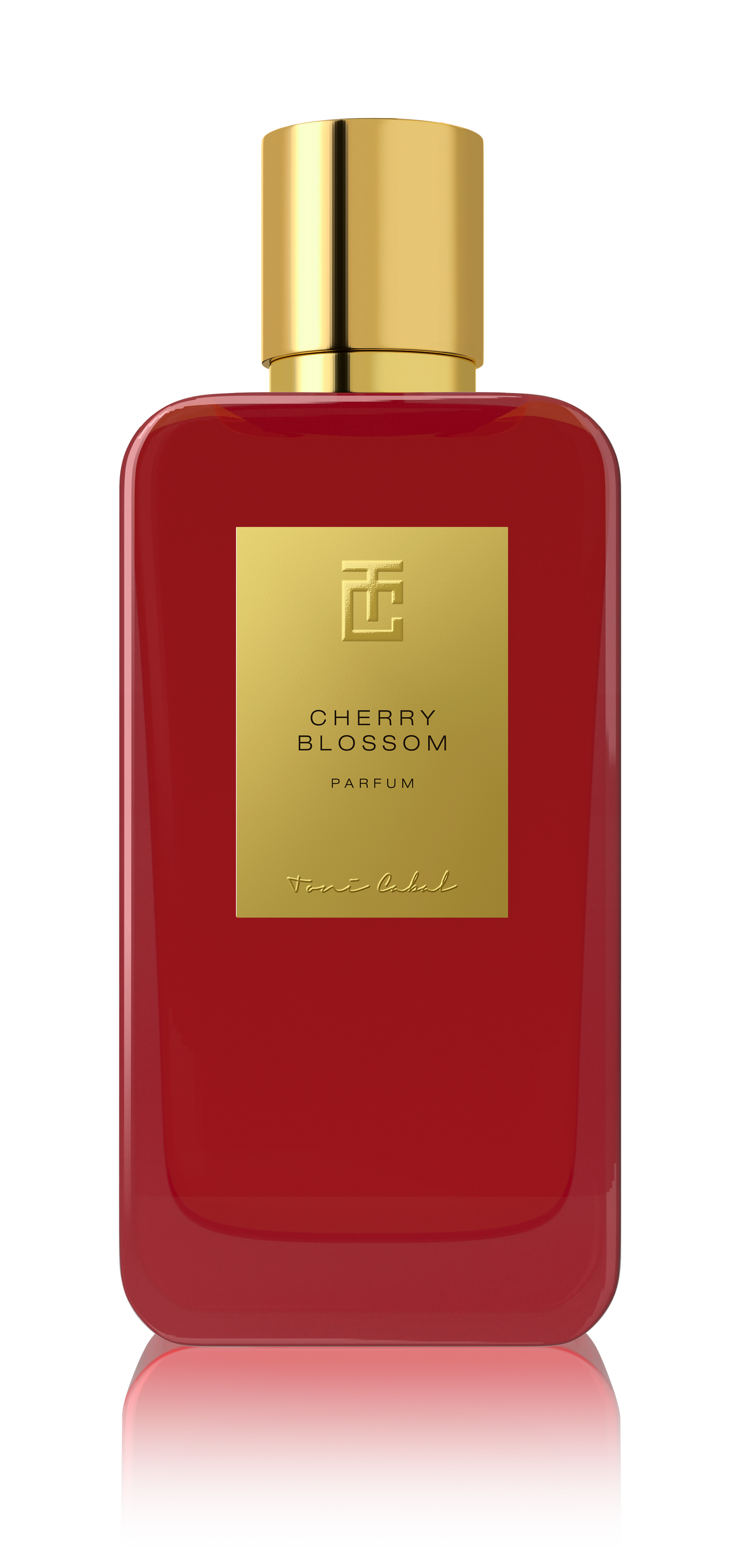 Cherry Blossom