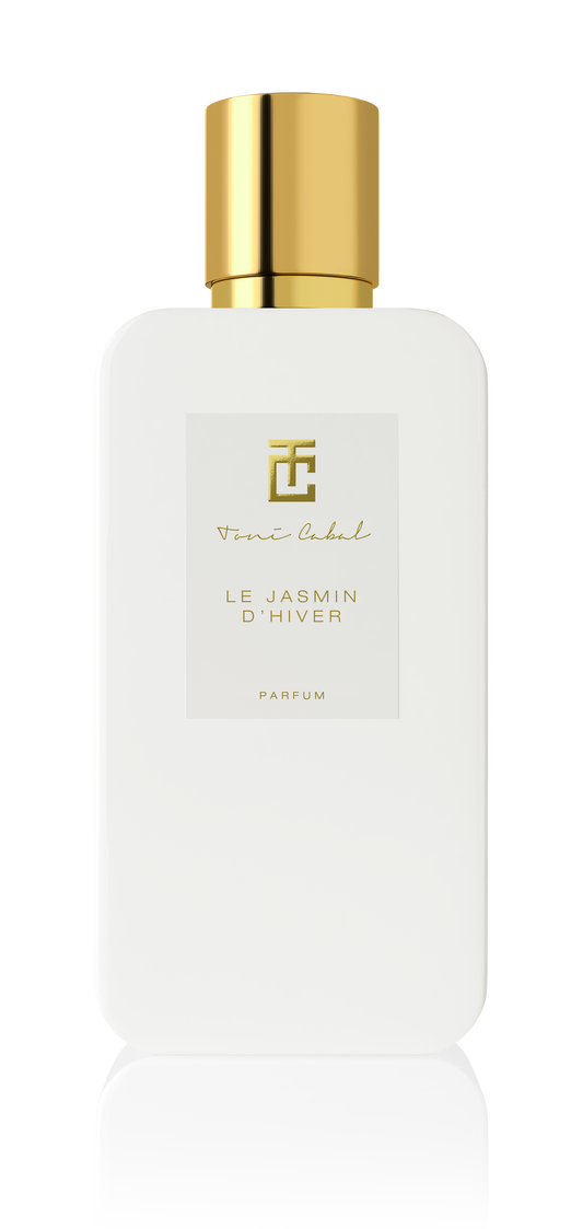 THE WINTER JASMINE