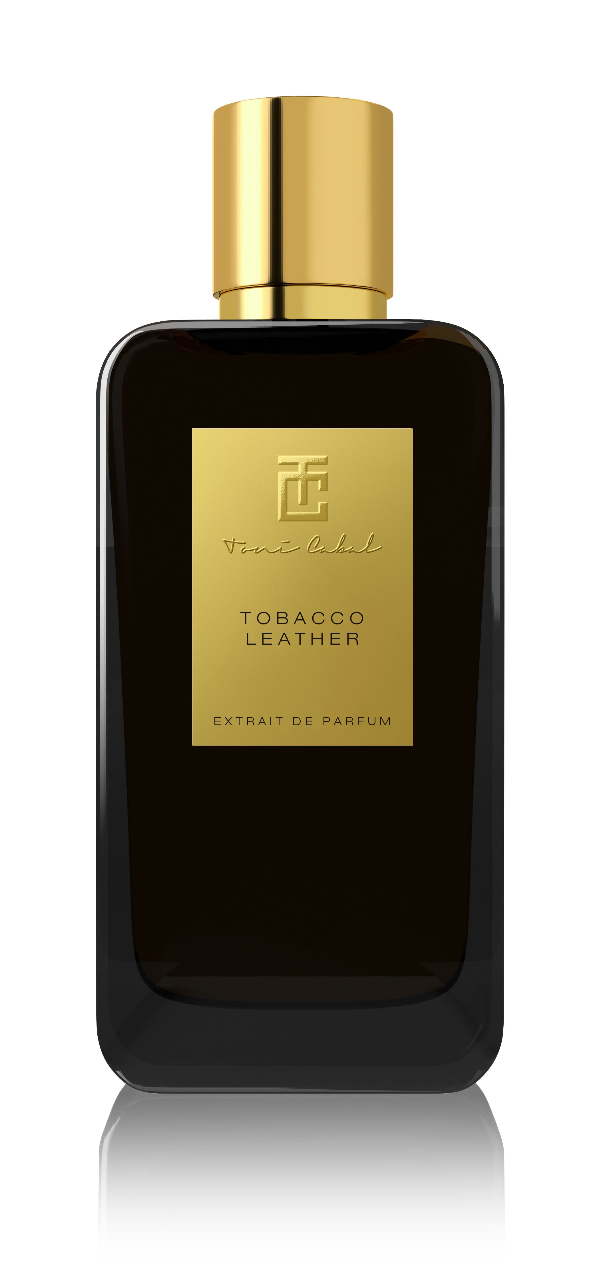 tobacco plant growing conditions How To Grow Tobacco: Farming Process From Seed To Harvest tobacco plant growing conditions How To Grow Tobacco: Farming Process From Seed To Harvest