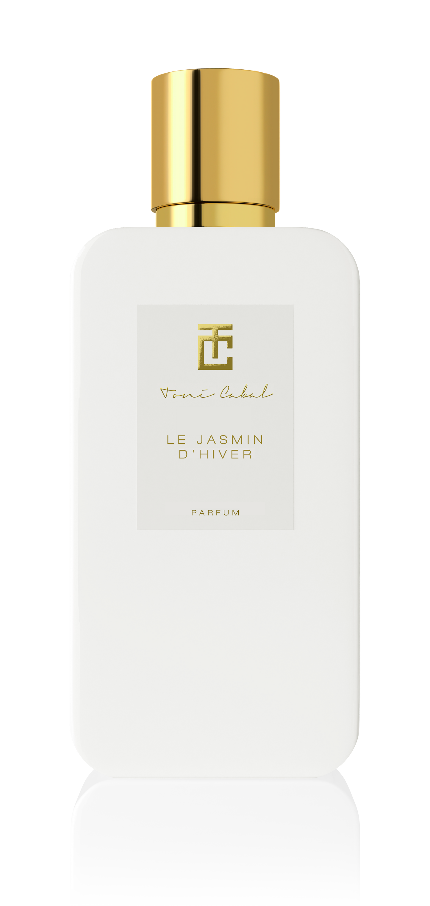 LE JASMIN D'HIVER